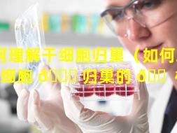 如何理解干细胞归巢（如何理解干细胞 🐞 归巢的 🐠 概念）